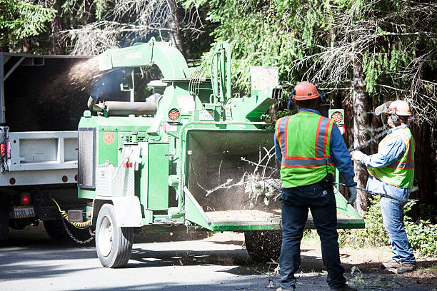 Best Hazardous Tree Removal  in Wanatah, IN